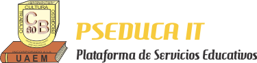 PSEDUCA IT